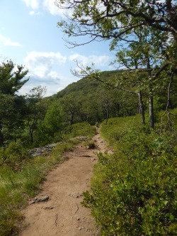 dudleydemented:  I want to get lost on these trails again. Right after Ramadan inshallah.