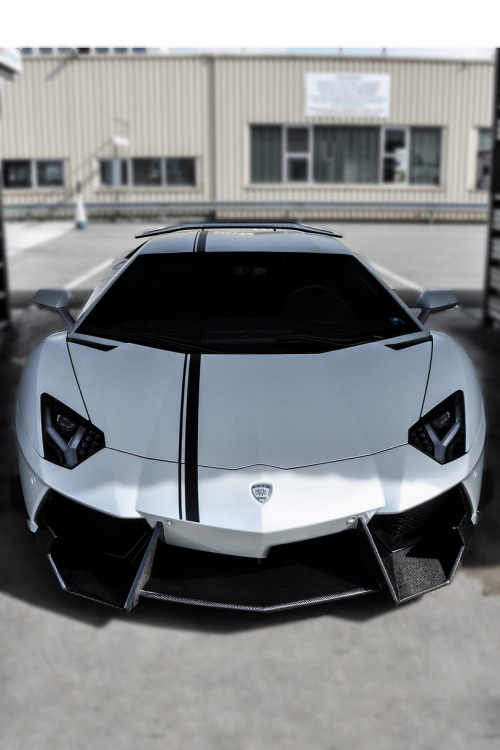 themanliness:  DMC Aventador | Source | MVMT | Facebook 