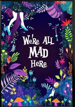 hatersbehaters4ever:  We’re all mad here