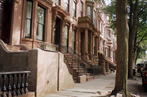 Brownstone CityFort Greene, NYKodak Portra 160