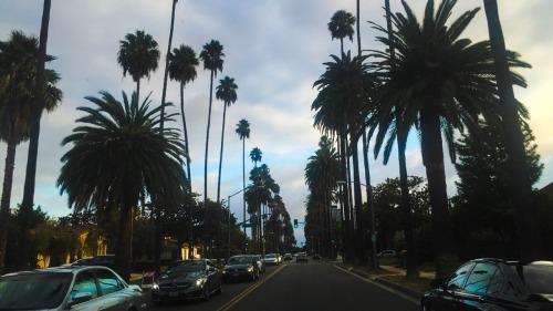 the-72-touch: 5:03 PMBeverly Hills, California. 