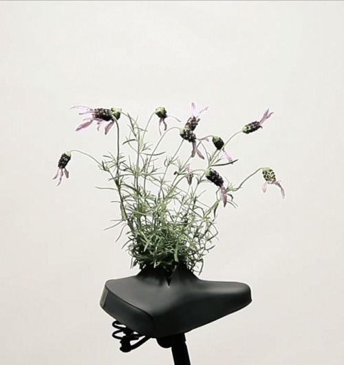 unconsumption:junkculture:Campaign Aims to Turn Abandoned Bicycles’ Saddles into Outdoor Planter