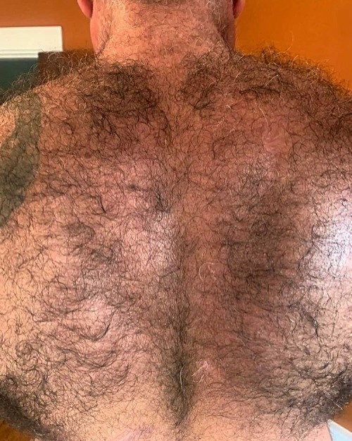 Hairy Back 84