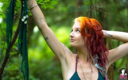  SG Hopeful Stormyent in Fae in the Forest