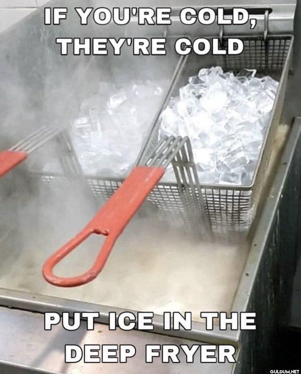 IF YOU'RE COLD, THEY'RE...