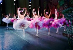 vromit:  glamour:   “Waltz of the Flowers,” from a 2013 performance of the New York City Ballet’s The Nutcracker. Photograph by Henry Leutwyler for vanityfair  I would cry. m 