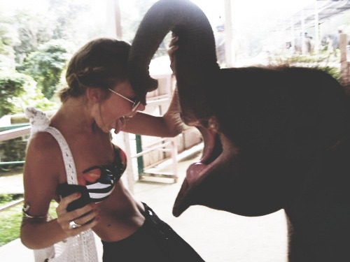loveanddemons:  Elephant on We Heart It. http://weheartit.com/entry/89428171?utm_campaign=share&amp;utm_medium=image_share&amp;utm_source=tumblr