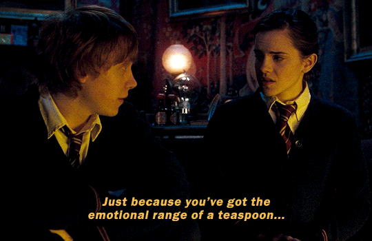 esmesqualor:  HARRY POTTER &amp; THE ORDER OF THE PHOENIX (2007) — dir. David