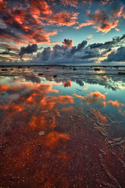 Wowtastic-Nature:  💙 Red Reef Sky Ii On 500Px By Glenn Crouch, Sydney, Australia☀  Nikon