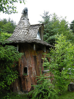 oliviatheelf: A little fairy house! 