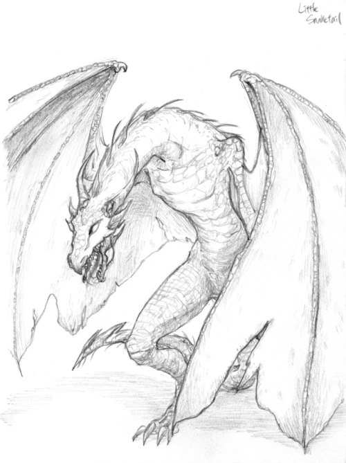 pomrania: cupcakeshakesnake:  Dragon  Pencil on sketchbook, 1~2 hours, scanned and Photoshopped to f