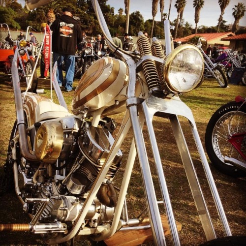 #Chopperfest #DavidMann #MototCult #Chopper #KustomKulture #Original www.motorcult.com (at Chopper F