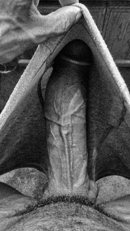 nhbbclvr:  3133
