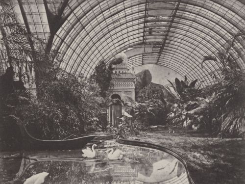 inland-delta:Albert Joseph, Winter Garden of King Ludwig II, 1870