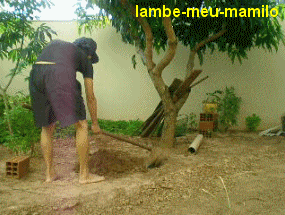 lambe-meu-mamilo:  ~lambe-meu-mamilo.