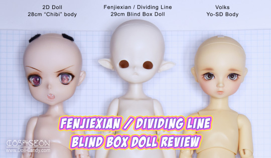 ball jointed doll blind box