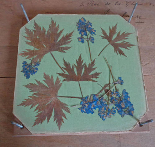 A vintage Flower Press