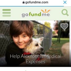 Please take a moment to help someone who not only needs it but truly deserves it 💚 My friends son Alex and his mother have been battling #lymedisease for a very long time and the medical expenses are becoming hard to keep up with. Anything helps. Thank