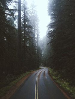 accio-forest:  Olympic Peninsula by Alex