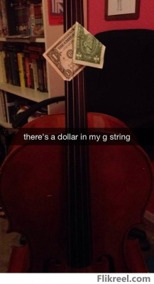 memeguy-com:  You had me at cello