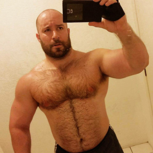 Porn photo Bear Chow