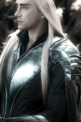 elvenking: Elven King’s armor