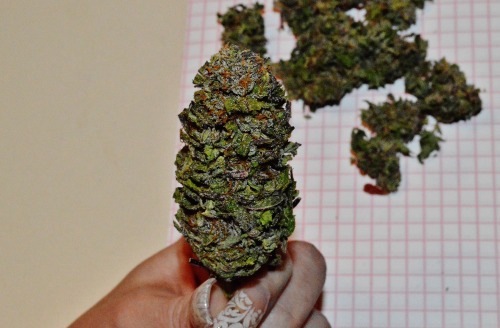420 Weed Graphics
