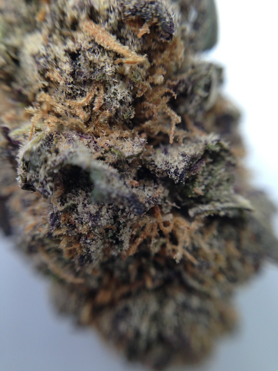 purplengabbana:  GDP macro 