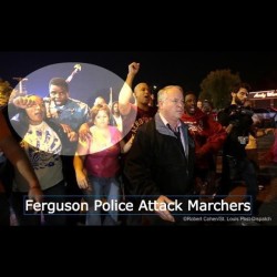 breenewsome:  #Ferguson protesters began