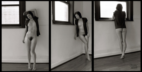 Rayne Tupelo Triptych by craigmac1000