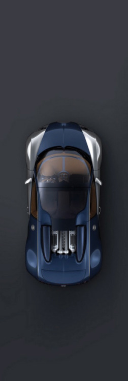 Bugatti  (Auto & Speedboat)  http://www.fastlanemag.com/bugatti-veyron-gran-sport-sang-bleu-speedboat-photo-gallery