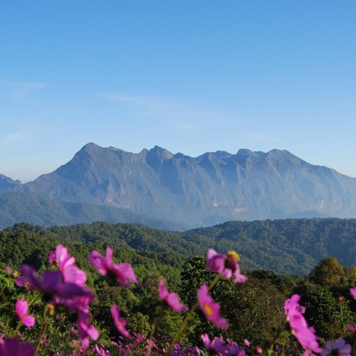 amazing-thailand:  Woww ! amazing view of Doi Luang Chiang Dao, Chiang Mai, Thailand 