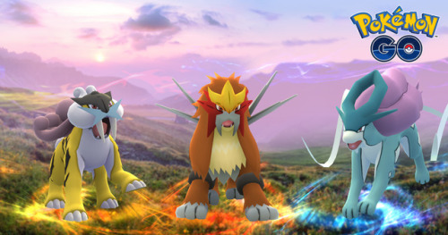 japanesenintendo: Legendary Pokémon Raikou, Entei, and Suicune appear The Legendary Pok&