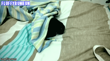 fluffybunbun:  She always works hard making my bed haha