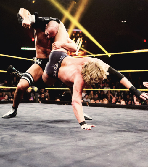  NXT - December 25th 2013Antonio Cesaro vs. William Regal    Pure technical wrestling at its finest! The transitions from move to move were so amazing to watch. Really loved the whole student vs. Mentor feel and the respect shown at the end was heart