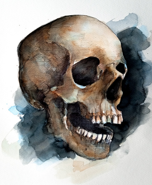 Watercolor Skulls By PanRafik