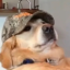 puppyboytoysblog
