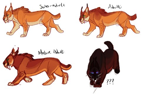 Speculative biology of Eversong Lynxes because I am really just a great, big nerd. Lynxes start