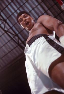 shopboyz:  Muhammad Ali  