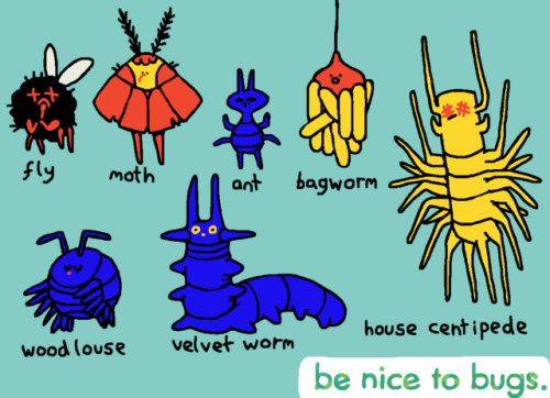 There are so many different kinds of tiny creatures who live with us on this planet, please try and 