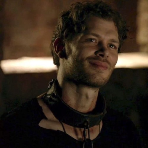 I Want To See Fanfics Of Klaus Mikaelson With Wolf Anatomy I Would Sell My Soul To See A Fanfic Like