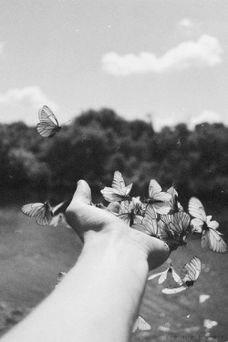 I THROW MY BUTTERFLIES IN THE AIR SOMETIMESSAYING