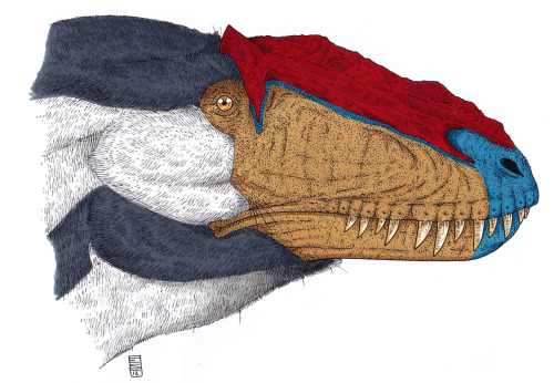 elijahshandseight:A depiction of Yutyrannus made after its discover, with a woodpecker-like colour s