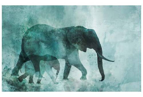 Elephant Walk 01: Giclee Fine Art Print 13X19KEN ROKOhttps://www.etsy.com/ca/listing/121171418/eleph