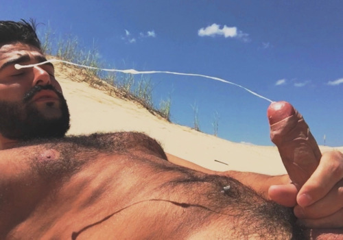 WOOF! HOTBEARS