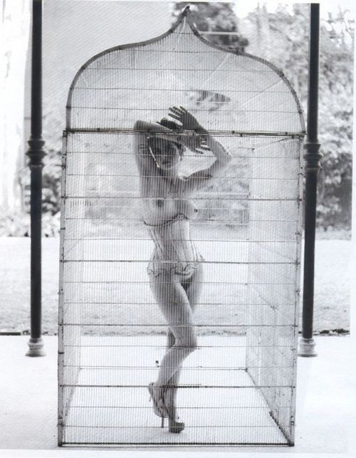 makemecomeforyou:  pussylesqueer:  LesBeehive.com  I love this image, I want the cage and the corset 