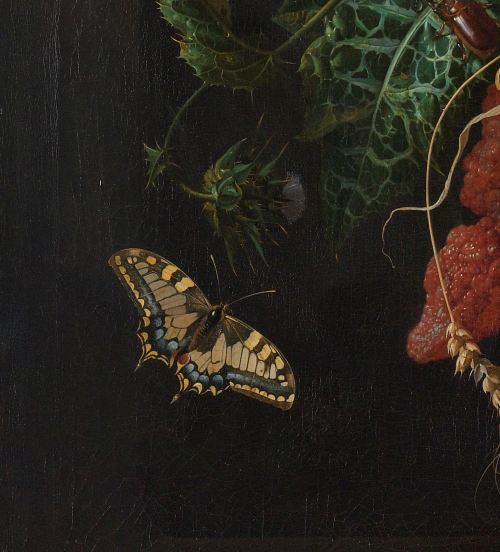 Jan Davidsz. de Heem, Festoon of Fruit and Flowers (detail), 1660 - 1670. Oil on canvas, 74 × 60 cm.