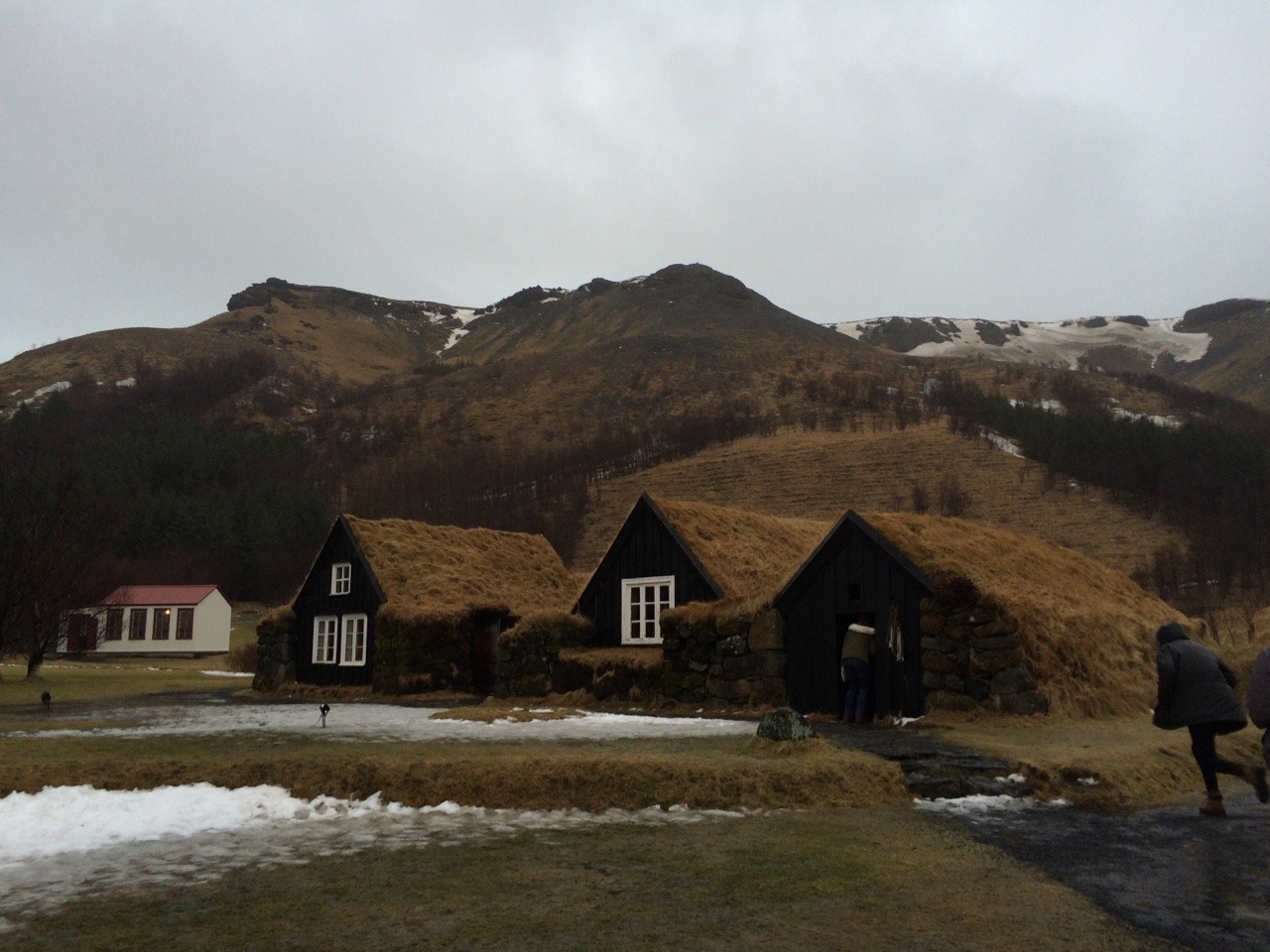 eleanqr:iceland isnt real part 2