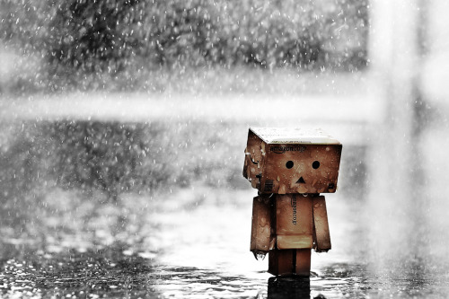 Danboard