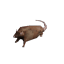 miramorganite